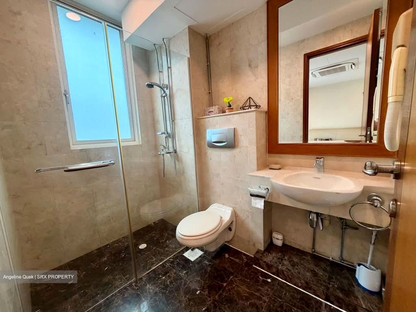 The Hermitage (D10), Apartment #573166821